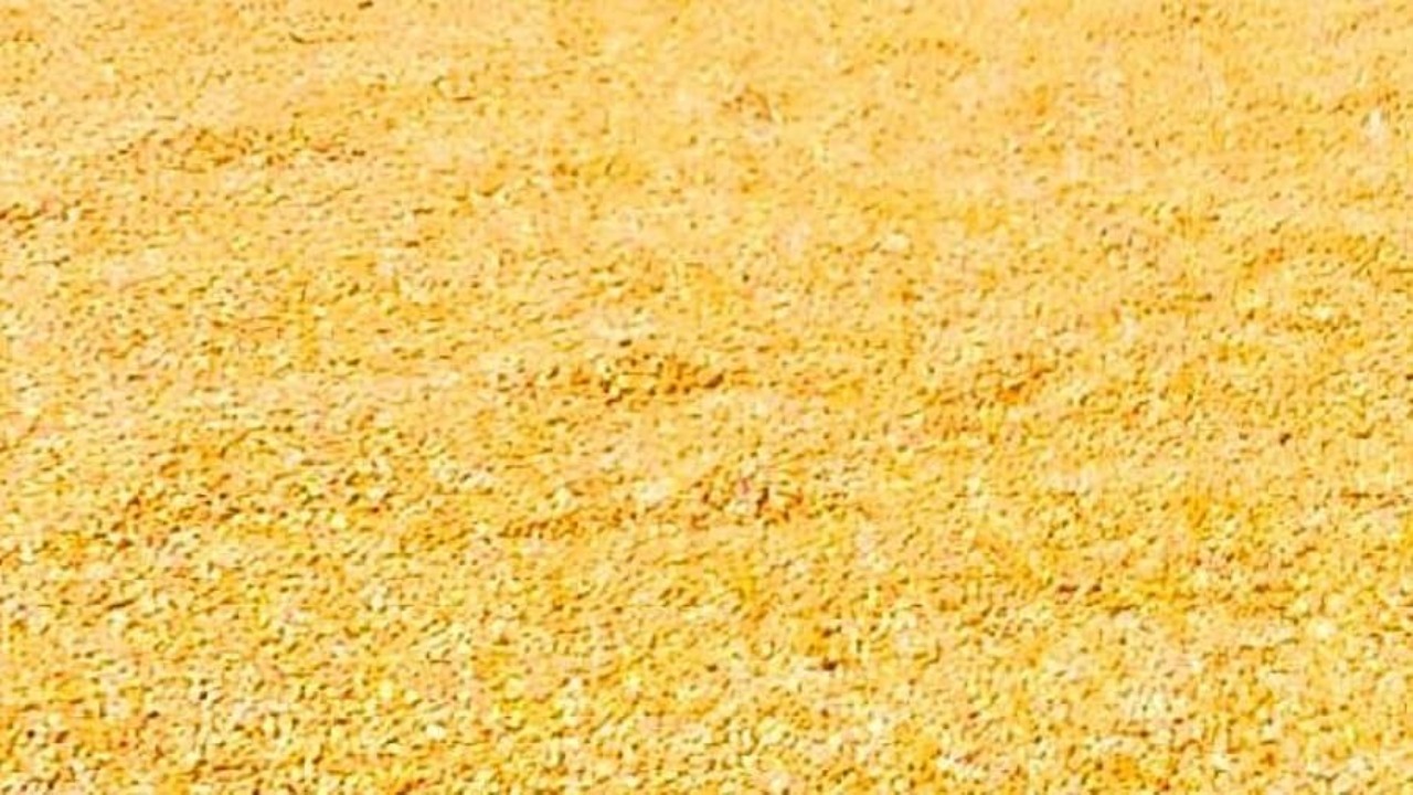 Government orders mandatory maize procurement by distilleries from December 1