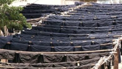 Ballari Jeans Park project gathers pace, government moves to boost global denim hub