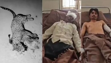 Father battles leopard to save son in Gujarat, kills wild animal after fierce fight