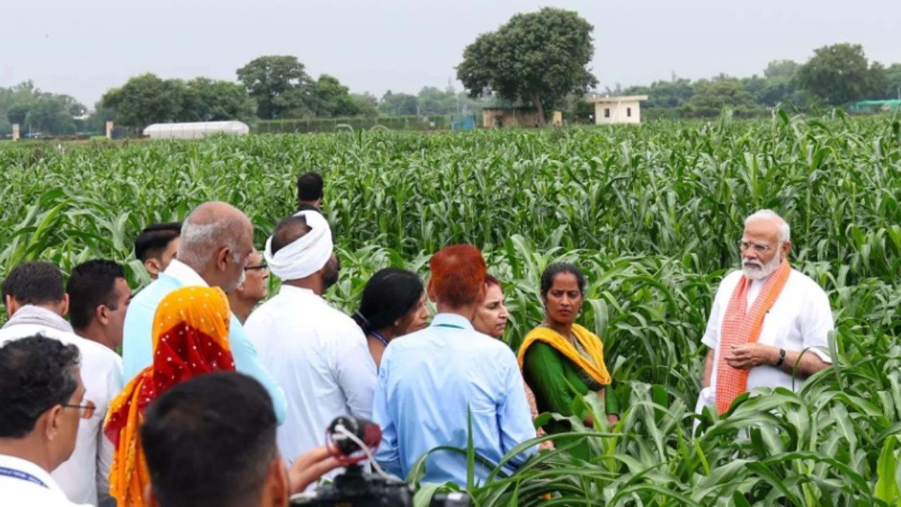 India meets 73% of fertiliser demand through domestic production in 2025: Chemicals and Fertilisers Ministry