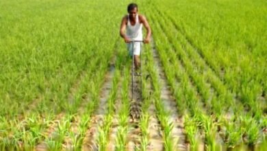 Karnataka ranks second nationally in PMFBY implementation