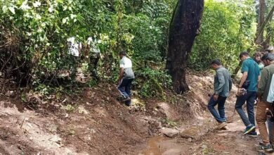 Belthangady court defers action on SIT plea, seeks final report in Dharmasthala case