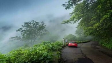 Drop Agumbe tunnel, two-lane highway plan to protect king cobra habitat and local livelihoods