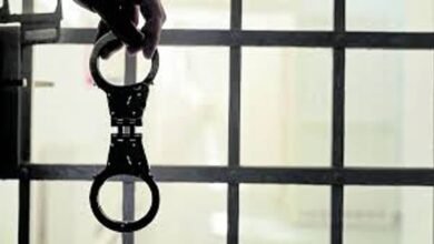 Eight suspects arrested for allegedly plotting terror strike in Delhi