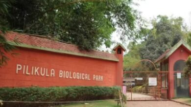 High Court slams mismanagement at Pilikula Zoo, warns of closure