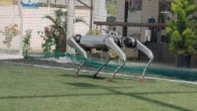 Indian Startup Unveils Indigenous Robot Dog ‘Param’ at Delhi AI Summit Amid Controversy