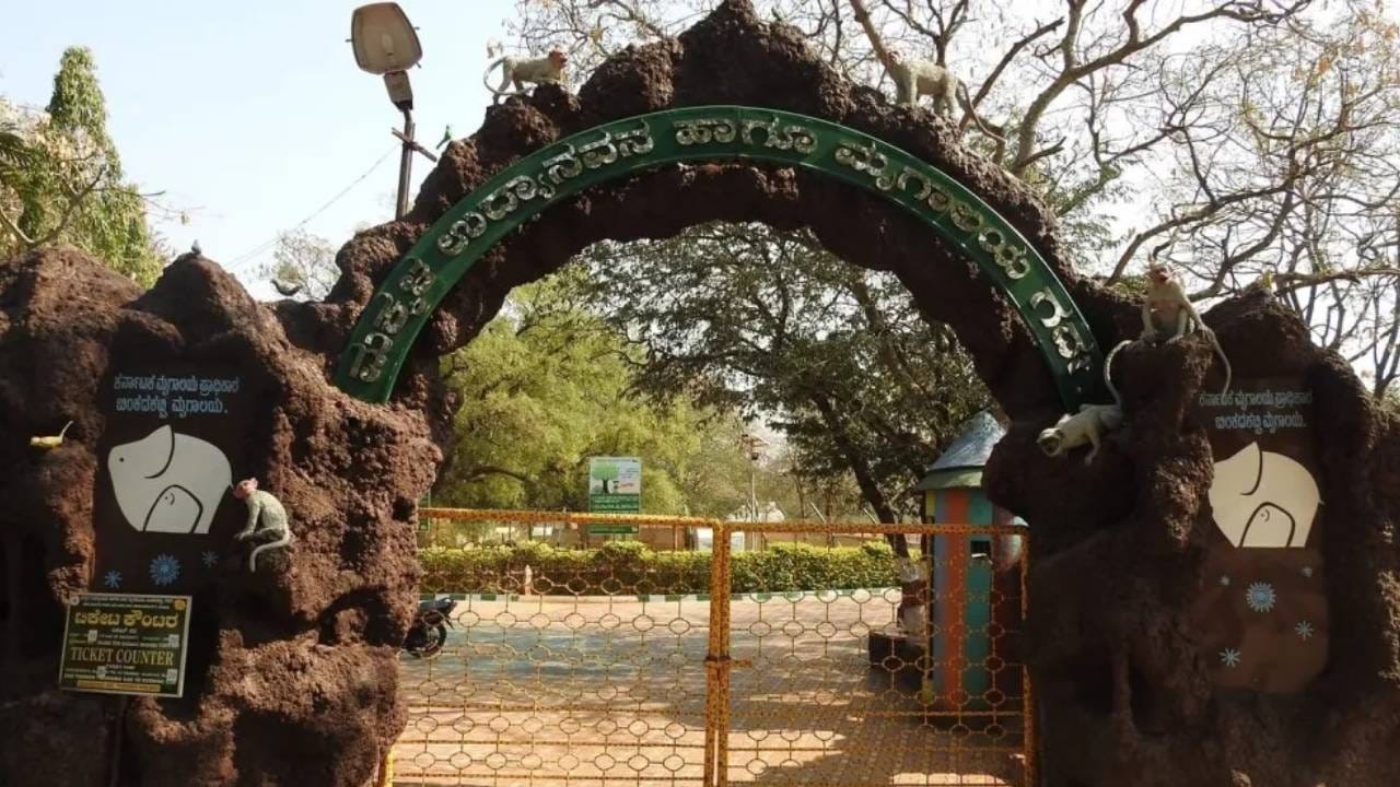 Nilgai Death Triggers HS Scare at Binkadakatti Zoo; Over 200 Herbivores Quarantined