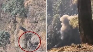 Two Jaish-e-Mohammad terrorists killed in drone-assisted operation in Jammu & Kashmir