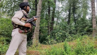 350 SOG personnel deployed to hunt terrorists in J&K forests
