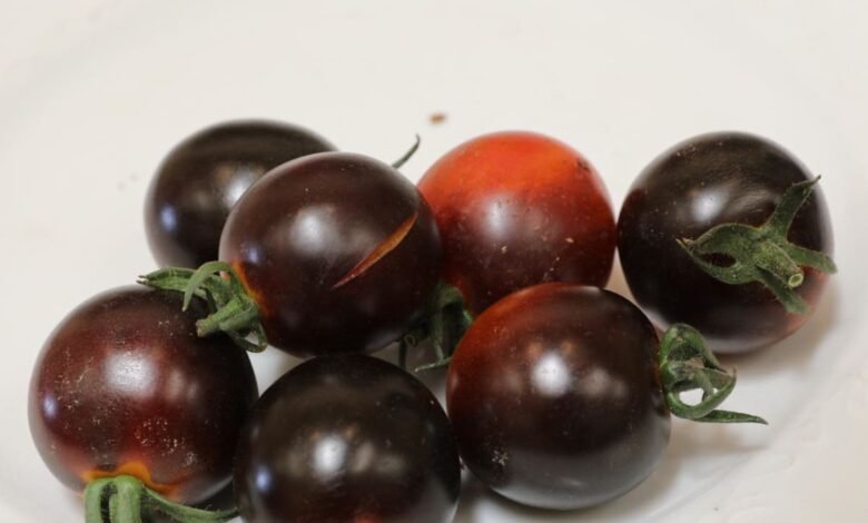 Black Tomatoes Arrive in Markets Offering Nighttime Relief and Boosting Overall Health