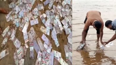 Bundles of Aadhaar cards found on the banks of the Netravati river