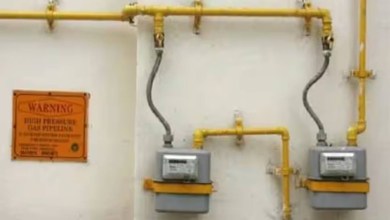 Centre pushes PNG expansion amid LPG supply concerns, new policy to ease pipeline rollout