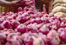 Global tensions trigger onion market crisis, Davanagere farmers bear the brunt