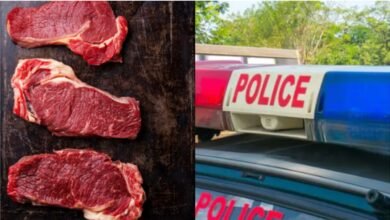 Hyderabad food safety scare: Police seize rotten meat, chemical-mixed ginger-garlic paste