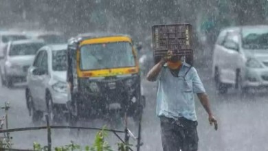IMD issued heavy rainfall alert in 15 states for next 48 hours