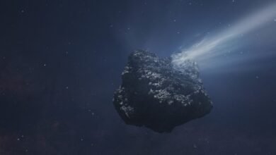 NASA Spots Unusual Comet That Suddenly Reversed Its Spin in Space