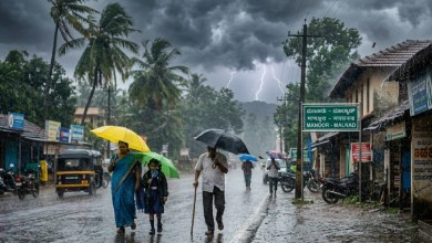 Heavy rains in Karnataka: IMD issues alert for 21 districts