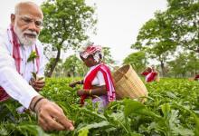 Prime Minister Modi Visits Assam Tea Garden and Joins Workers in Plucking Tea Leaves