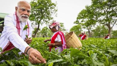 Prime Minister Modi Visits Assam Tea Garden and Joins Workers in Plucking Tea Leaves