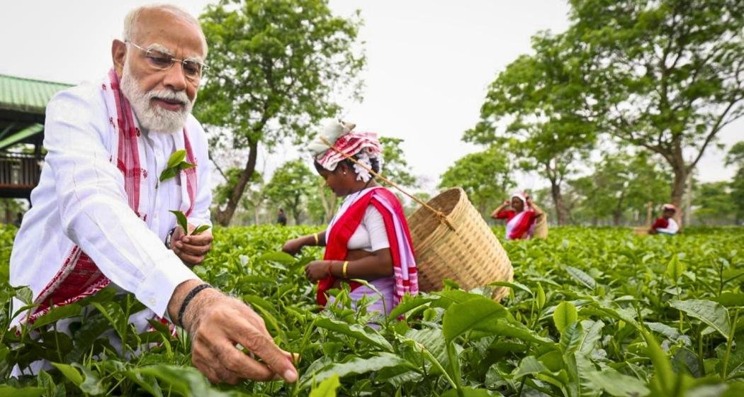 Prime Minister Modi Visits Assam Tea Garden and Joins Workers in Plucking Tea Leaves