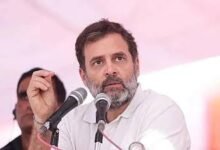 Rahul Gandhi during Andaman and Nicobar Islands visit reviewing Great Nicobar development project and environmental concerns