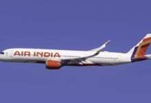 Can You Carry Mangoes on Flights? Here Is What Airline Rules Say