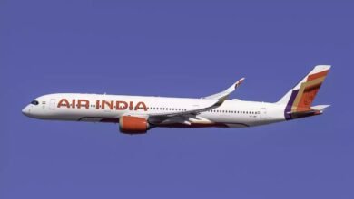 Can You Carry Mangoes on Flights? Here Is What Airline Rules Say