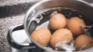 Do Not Throw Away Boiled Egg Water These Surprising Garden Benefits May Impress You