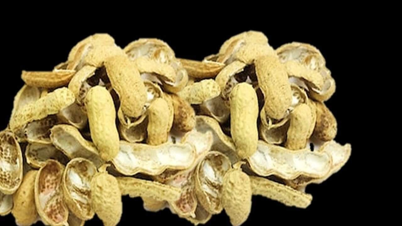 Do Not Throw Peanut Shells Away These Smart Household Uses May Surprise You