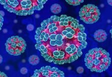 Hantaviruses Scare: high alert after three dead
