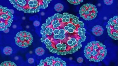 Hantaviruses Scare: high alert after three dead