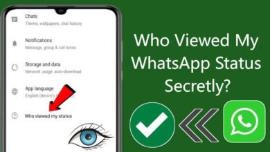 How to View WhatsApp Status Secretly Without Letting Others Know