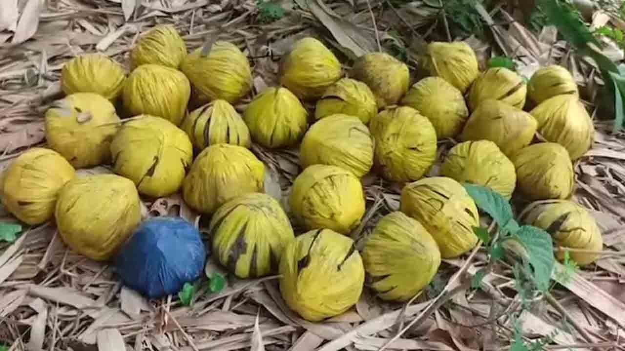 Panic in Bengal After 31 Crude Bombs Found in Garden