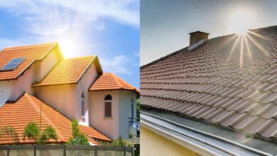 Rohini Karthi Heatwave Hacks to Keep Your Roof Cool and Home Comfortable Without AC