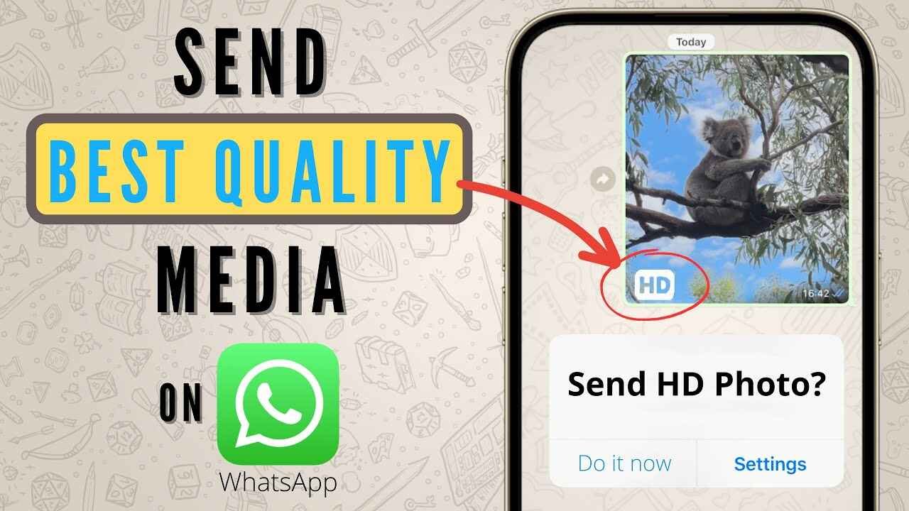 WhatsApp HD Photo Trick: Send Images in Full Quality Without Losing Clarity