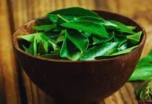 Why Curry Leaves Plant Dries Up At Home Simple Care Tips To Keep It Bushy And Healthy