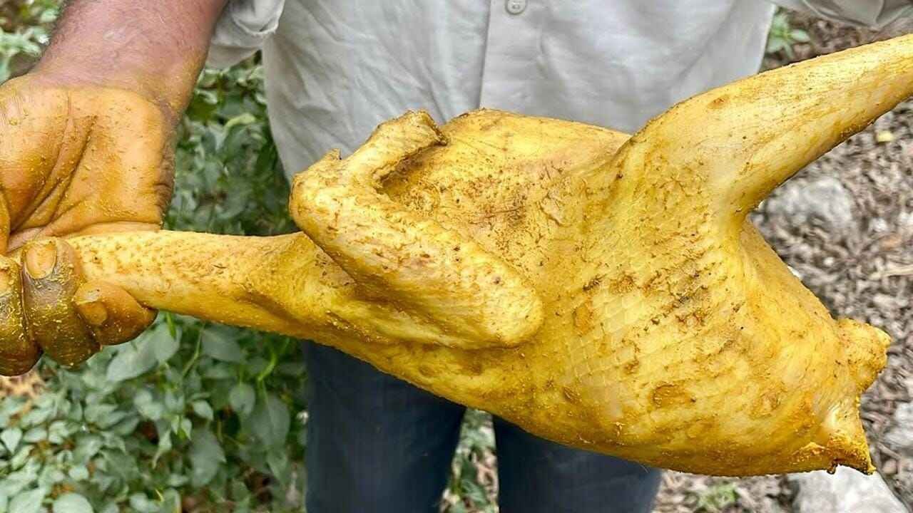 Why Turmeric is Applied on Country Chicken Before Cutting Tradition or Science Explained