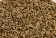 Ajwain and the Thymol Secret Behind Its Powerful Digestive Benefits