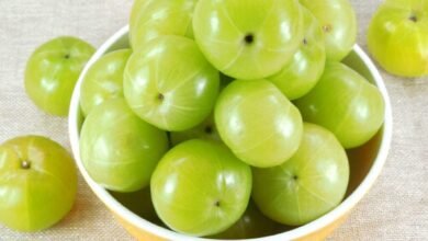 Amla Before Meals May Help Control Sugar Levels Naturally Says Health Experts