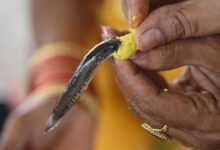 Batthini Family Reveals the Story Behind Hyderabad’s Famous Fish Prasadam Tradition