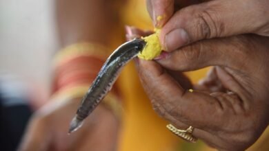 Batthini Family Reveals the Story Behind Hyderabad’s Famous Fish Prasadam Tradition
