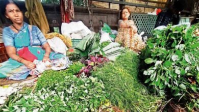 Bengaluru Residents Hit by Vegetable Price Surge; Beans, Brinjal Cross ₹100 per kg