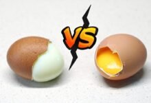 Boiled Eggs vs Raw Eggs Doctors Reveal Which One Is Actually Healthier for Your Body