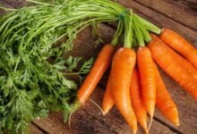 Carrot May Not Suit Everyone Says Experts Know the Health Risks Before You Eat