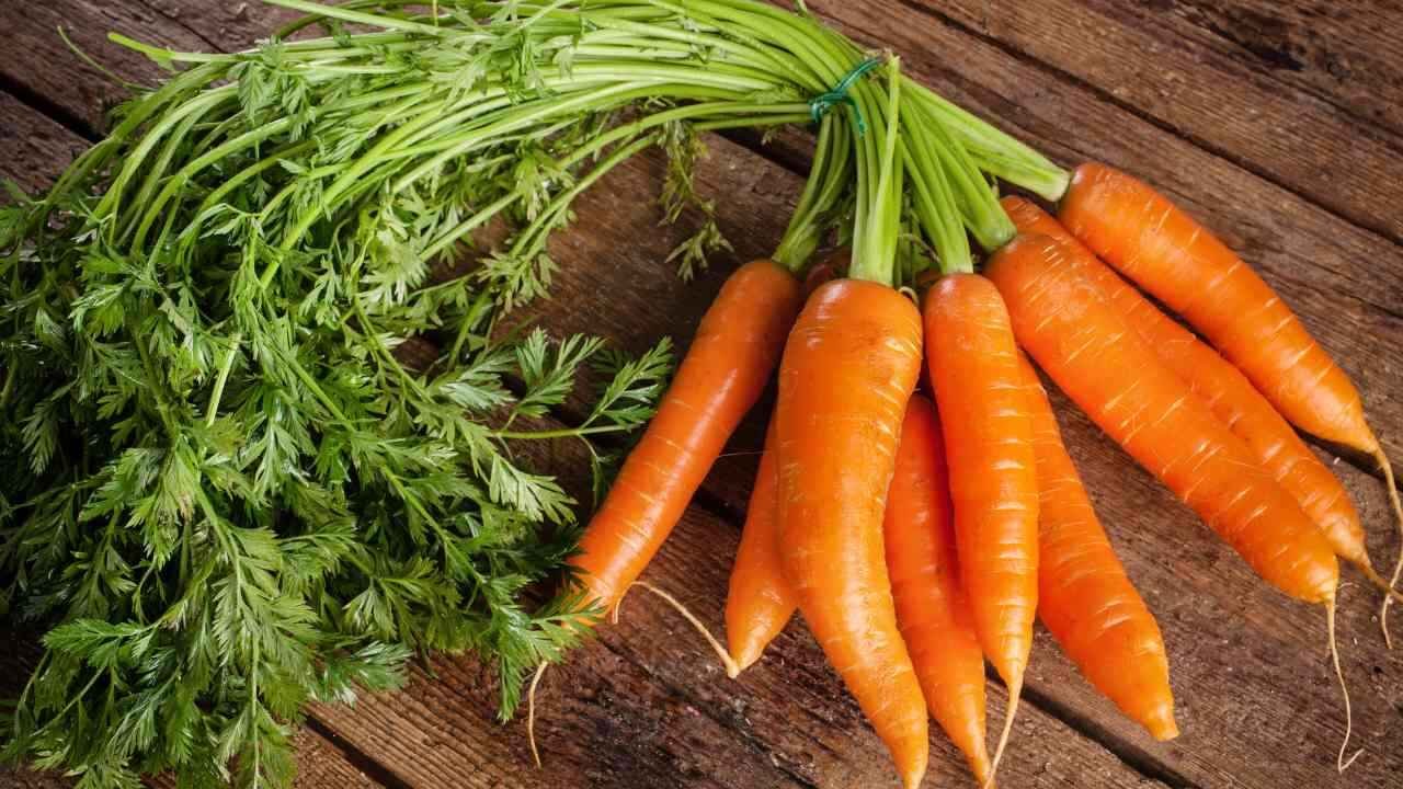 Carrot May Not Suit Everyone Says Experts Know the Health Risks Before You Eat