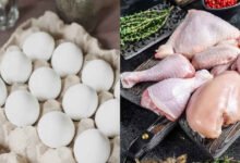 Chicken, Egg Prices Likely to Increase as Poultry Industry Cuts Production