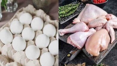 Chicken, Egg Prices Likely to Increase as Poultry Industry Cuts Production