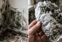 Dark Wall Stains at Home What They Really Mean and a Simple Foil Test to Find the Cause