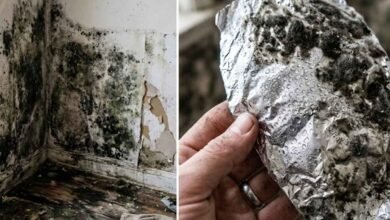 Dark Wall Stains at Home What They Really Mean and a Simple Foil Test to Find the Cause