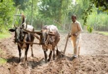 Devanahalli Landowners Offered ₹2.70 Crore Per Acre in Major Acquisition Proposal